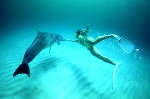 dolphin01
